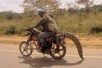 Ägypten, Sudan, Äthiopien, Kenia - Go South! Die Pharao Enduro Expedition